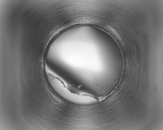 X0000067831226200605041615