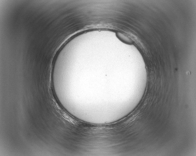 X0000067831228200605041615