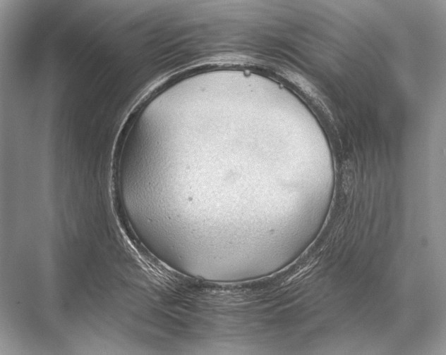 X0000067831229200605041615