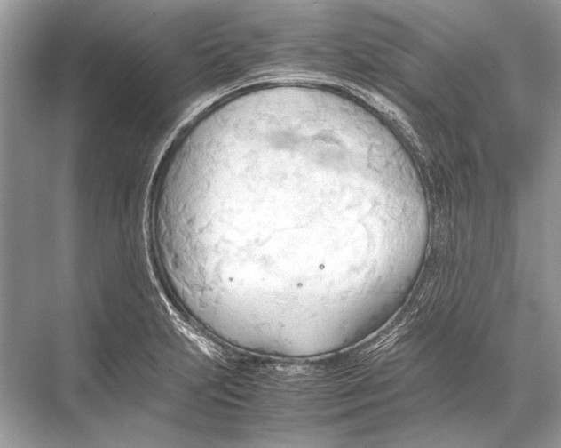 X0000067831231200605041615