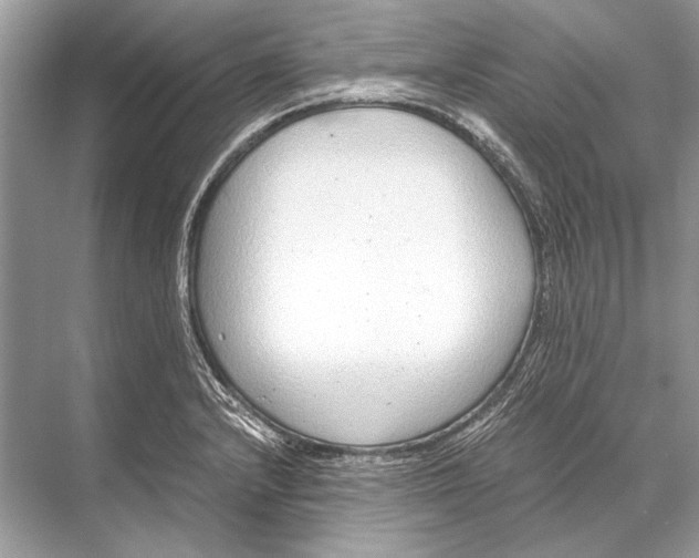 X0000067831232200605041615