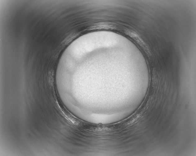 X0000067831233200605041615