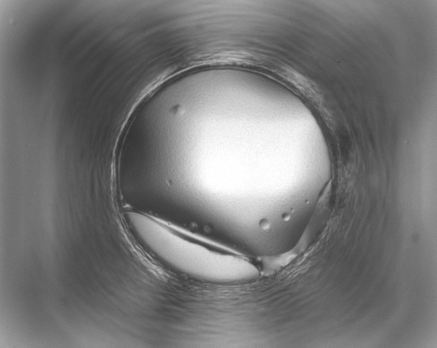 X0000067831234200605041615