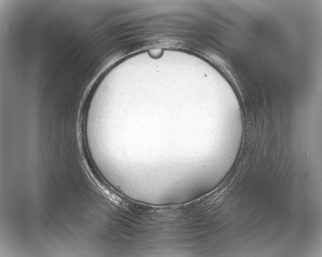 X0000067831235200605041615