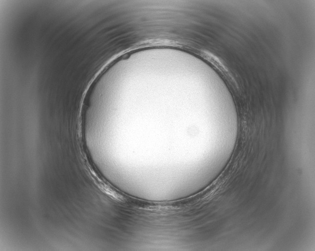 X0000067831236200605041615