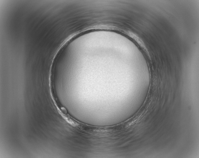 X0000067831237200605041615