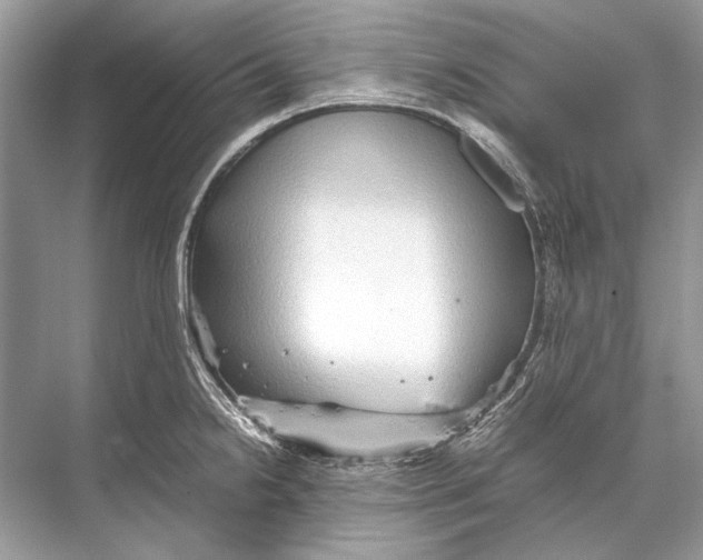 X0000067831238200605041615