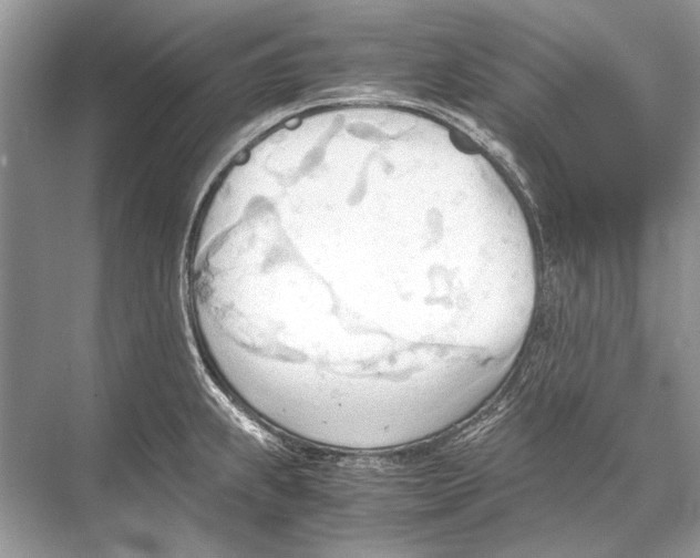 X0000067831239200605041615