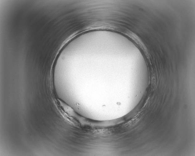 X0000067831242200605041615