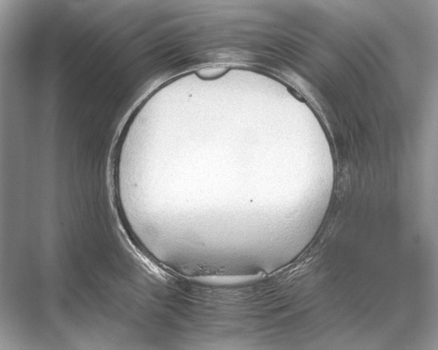 X0000067831243200605041615