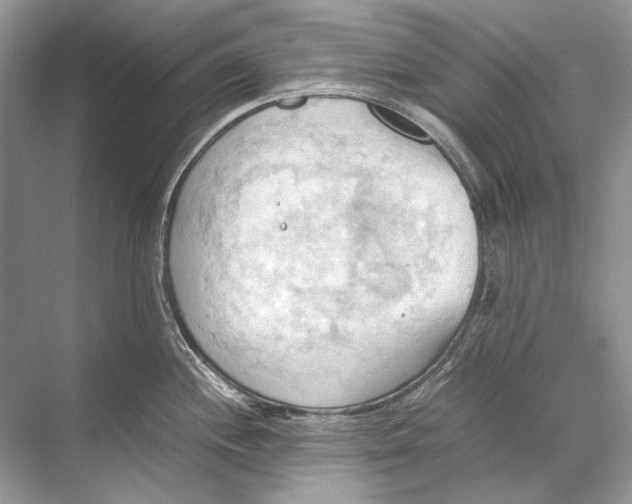 X0000067831244200605041615