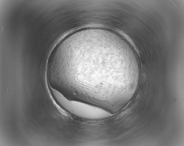 X0000067831245200605041615