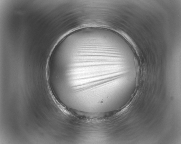 X0000067831246200605041615