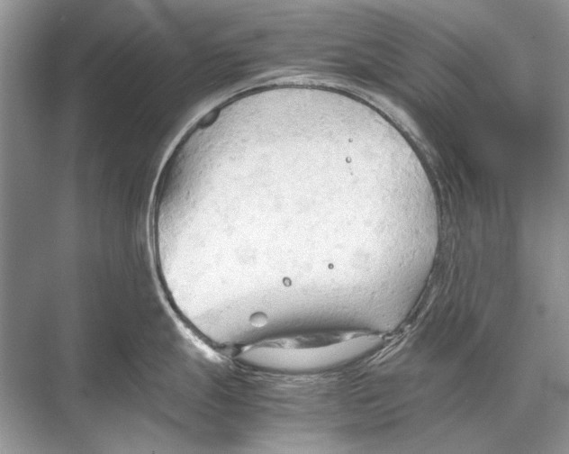 X0000067831247200605041615