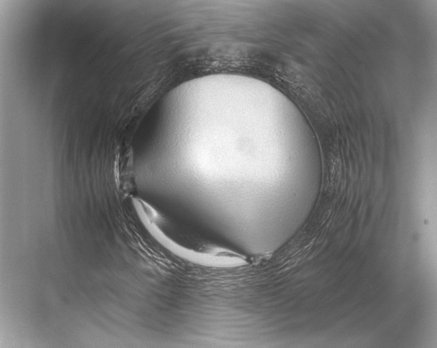 X0000067831250200605041614