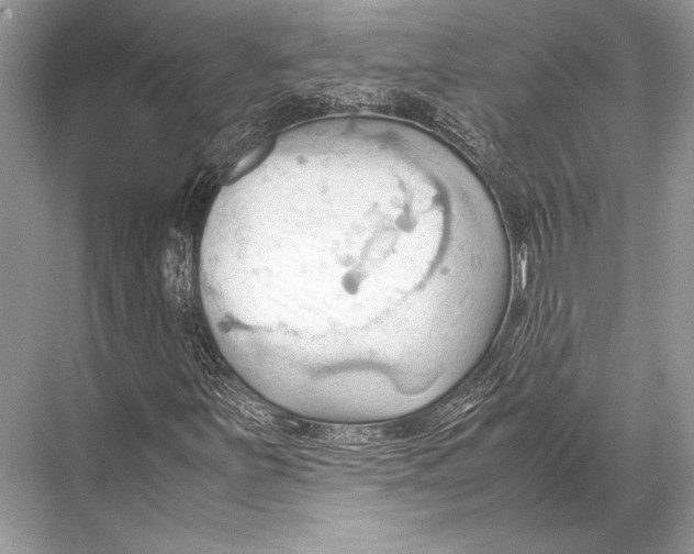 X0000067831251200605041614