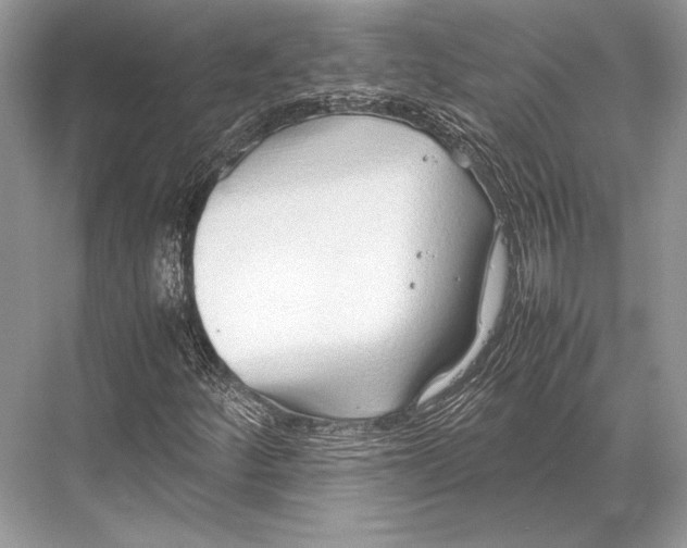 X0000067831252200605041614