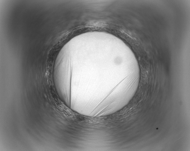 X0000067831254200605041614