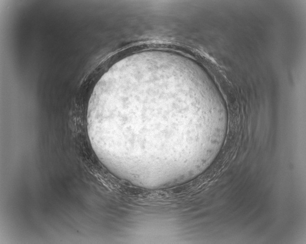 X0000067831255200605041614