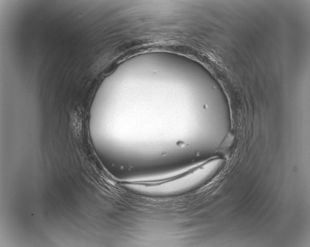 X0000067831257200605041614