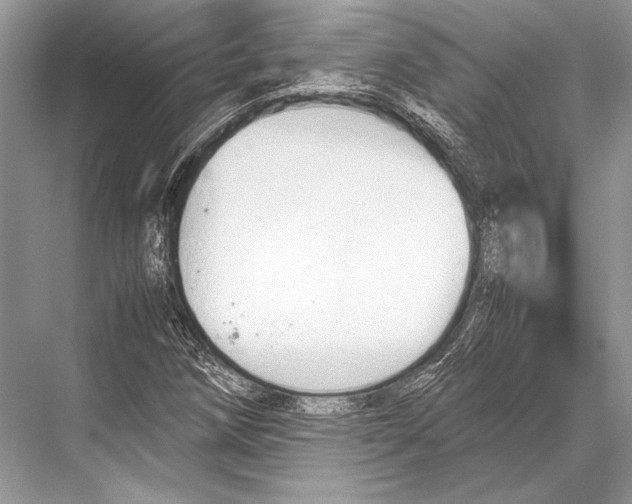 X0000067831258200605041614