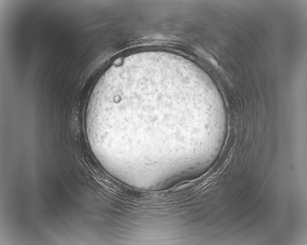 X0000067831259200605041614