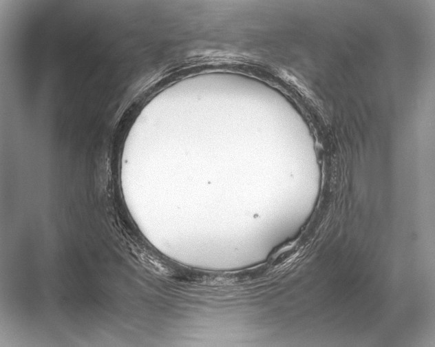 X0000067831261200605041614