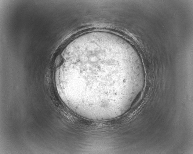 X0000067831263200605041614