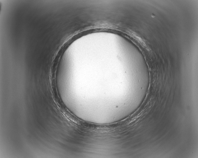 X0000067831264200605041614