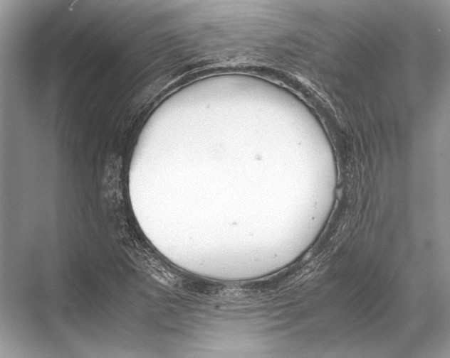 X0000067831265200605041614