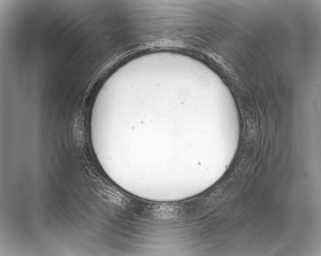 X0000067831266200605041614