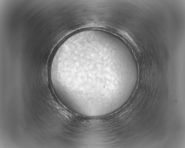 X0000067831268200605041614