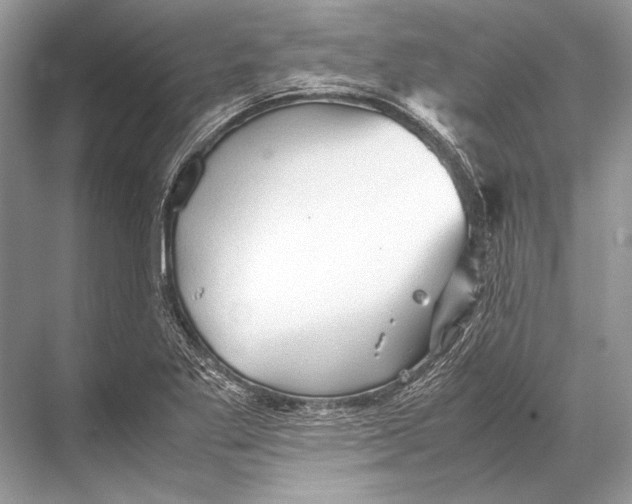 X0000067831269200605041614