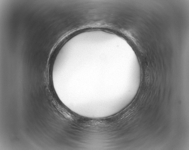 X0000067831270200605041614