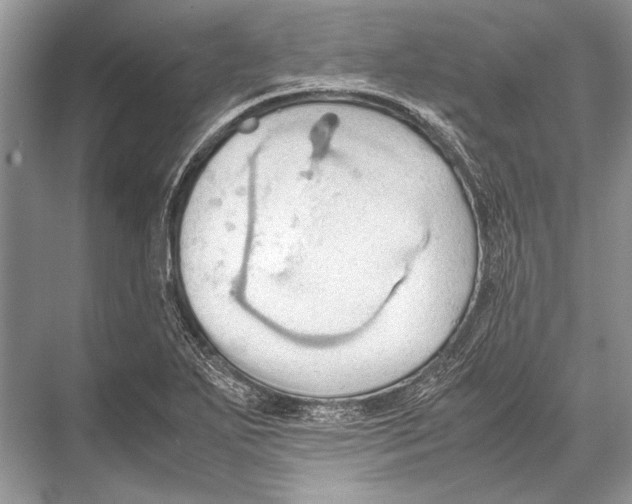 X0000067831271200605041614