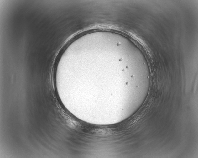 X0000067831272200605041614