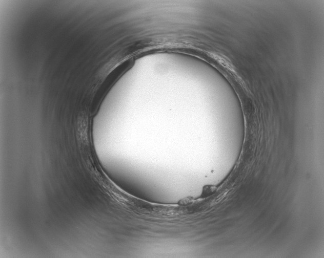 X0000067831273200605041614