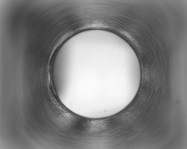 X0000067831274200605041614