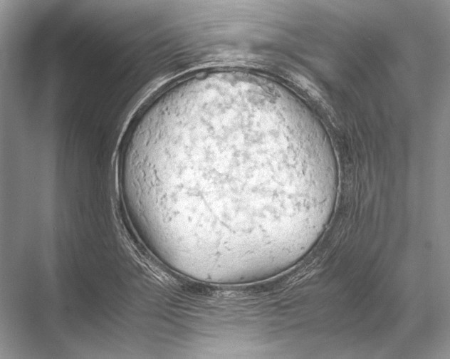 X0000067831275200605041614