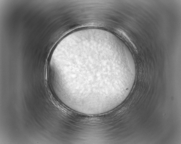 X0000067831276200605041614