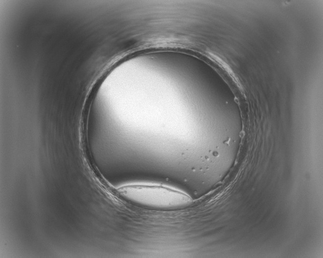 X0000067831277200605041614