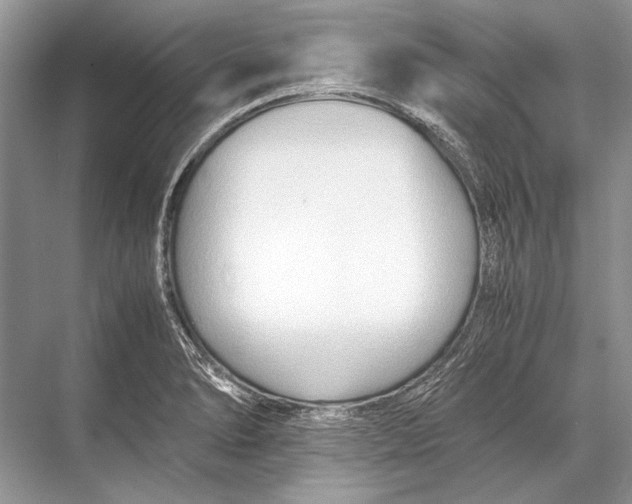 X0000067831278200605041614