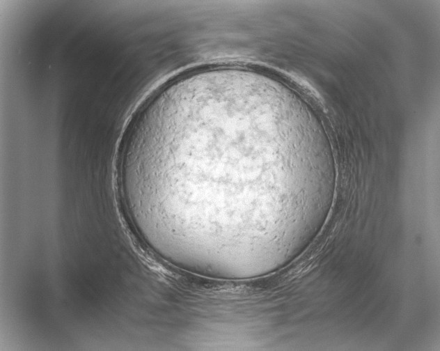 X0000067831279200605041614