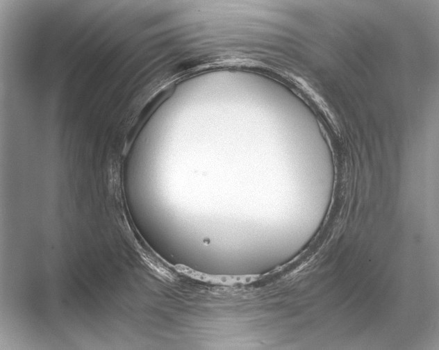 X0000067831281200605041614