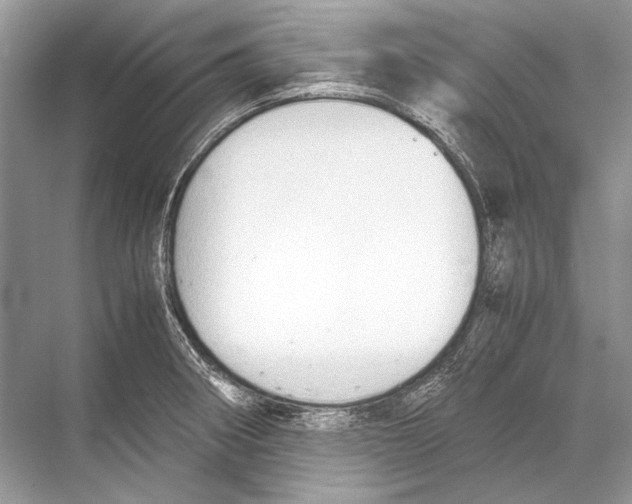 X0000067831282200605041614