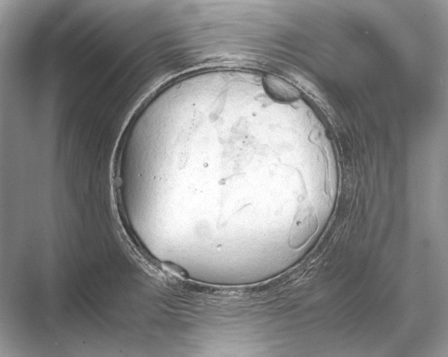 X0000067831283200605041614