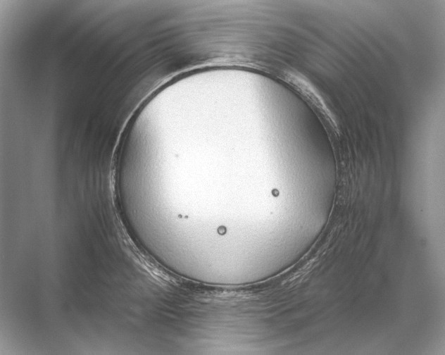 X0000067831284200605041614