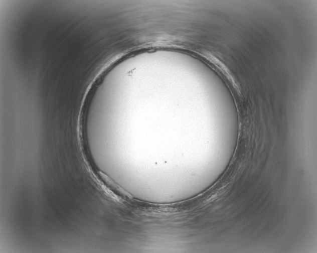 X0000067831285200605041614