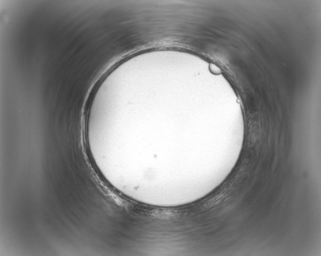 X0000067831286200605041614