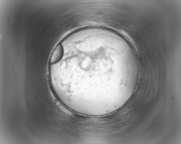 X0000067831287200605041614